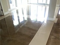 Polished & Stained Concrete