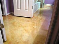 Polished & Stained Concrete