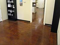 Polished & Stained Concrete