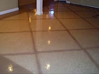 Polished & Stained Concrete