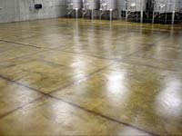 Polished & Stained Concrete