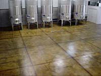 Polished & Stained Concrete