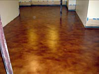 Polished & Stained Concrete