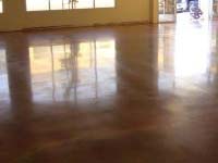 Polished & Stained Concrete